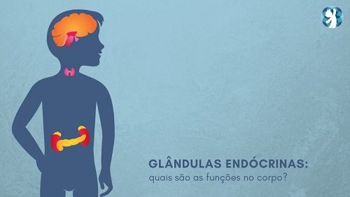 Glândulas endócrinas: conheça a importância delas no corpo